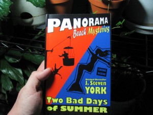 Panorama Beach Mysteries, Two Bad Days of Summer